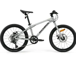 Darwin III 20-Inch Kids Bike