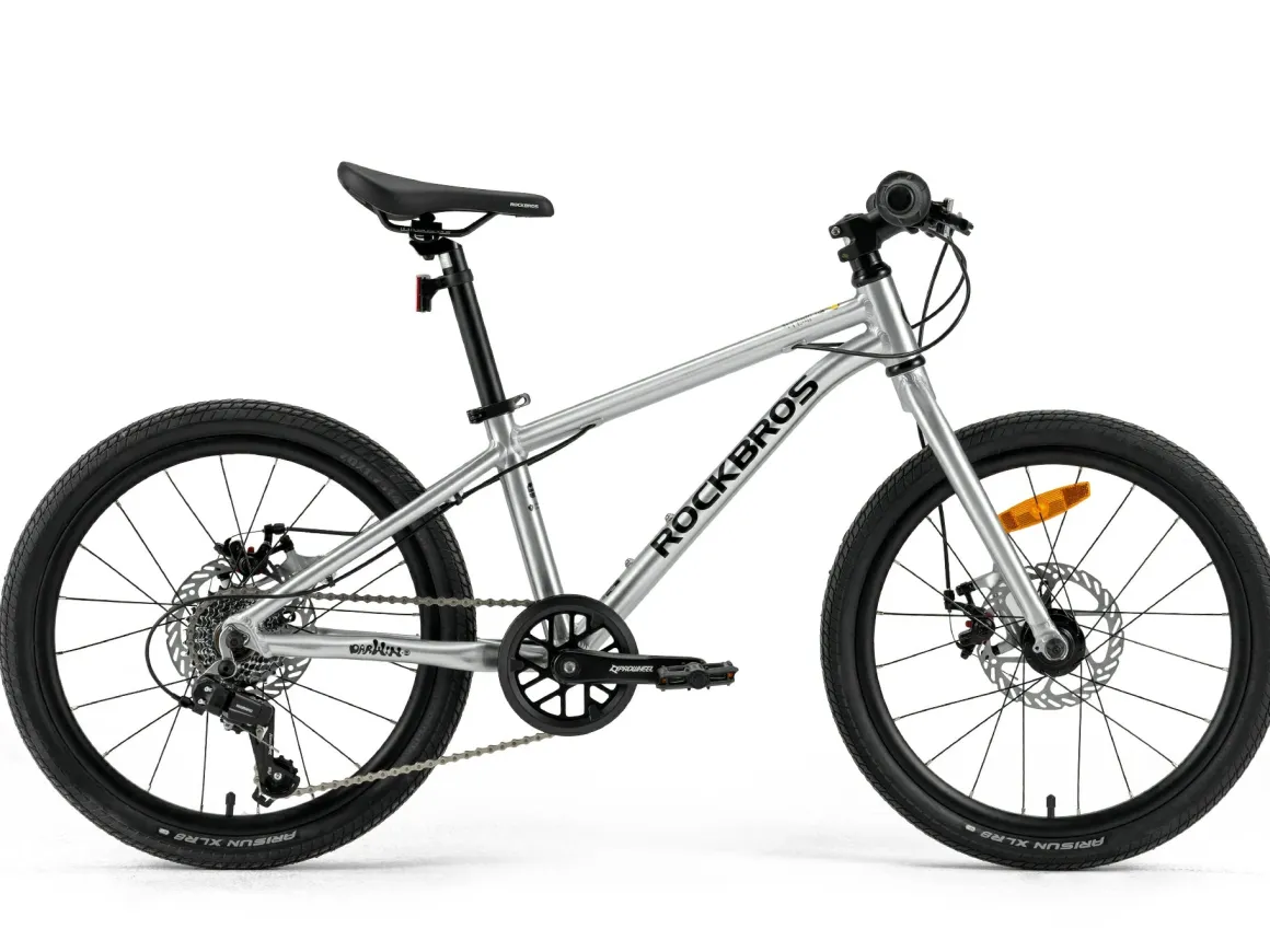 Darwin III 20-Inch Kids Bike