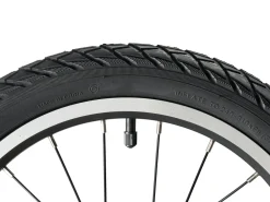 Darwin II Kids Belt-Drive Bike 16"/20"
