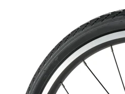Darwin II Kids Belt-Drive Bike 16