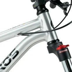 Darwin V 26-Inch Mountain Bike