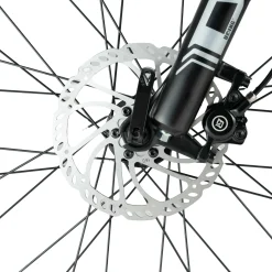 Darwin V 26-Inch Mountain Bike