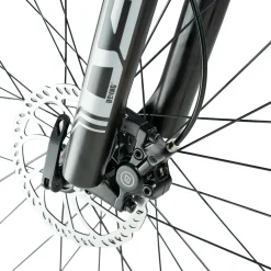 Darwin V 26-Inch Mountain Bike