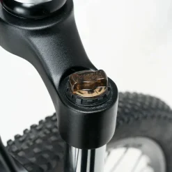 Darwin V 26-Inch Mountain Bike