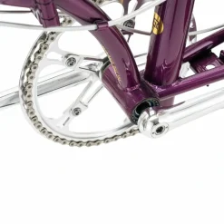 Loras-Steel 20-inch Folding Bike