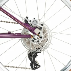 Loras-Steel 20-inch Folding Bike
