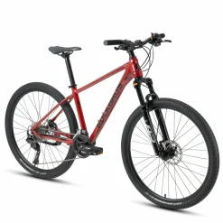 MT300-Mountain Bike