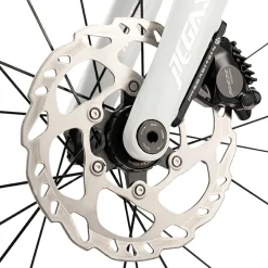 PGZ - Carbon Fiber Road Bike – Black and White