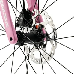 PGZ - Carbon Fiber Road Bike – Pink