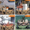 Qunature 330LB Capacity Foldable Wagon