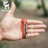 Qunature Titanium Survival Whistle 120dB Loud, Durable, Portable Outdoor Gear