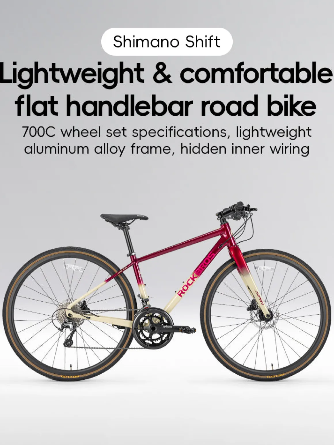 SPIN-P2M Carbon Fiber Fork Aluminum Frame Road Bike