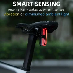 Tail Light Brake Sense USB