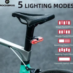 Tail Light Brake Sense USB
