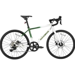 Teen 22-Inch Road Bike